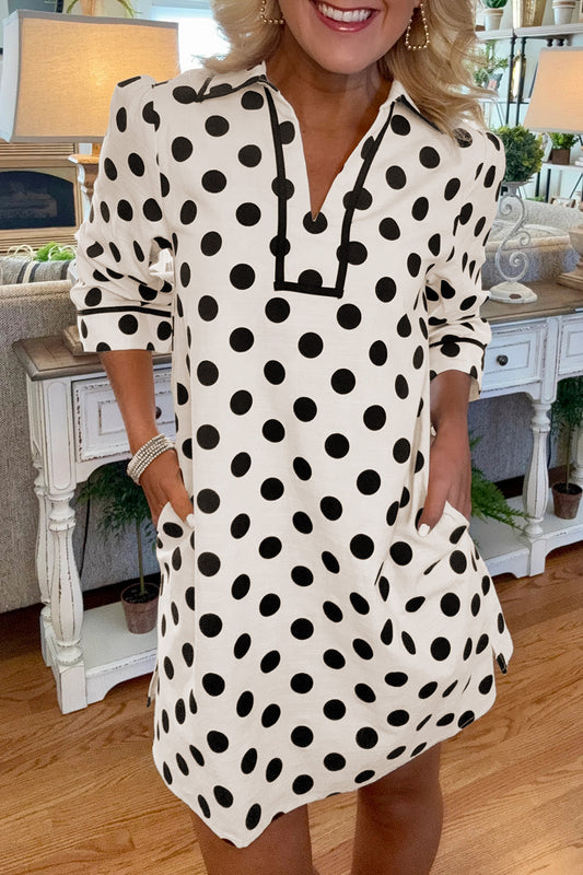 Polka Dot V-neck Mini Dress