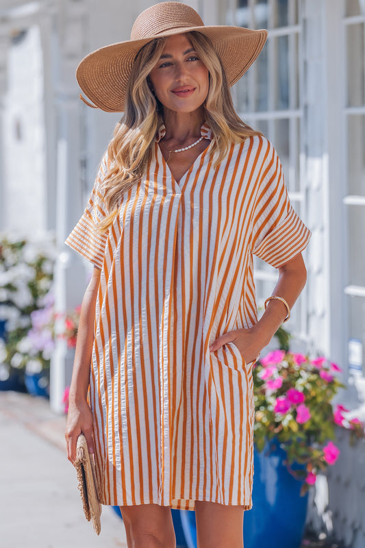 Stripe Pinched V-neck Mini Dress