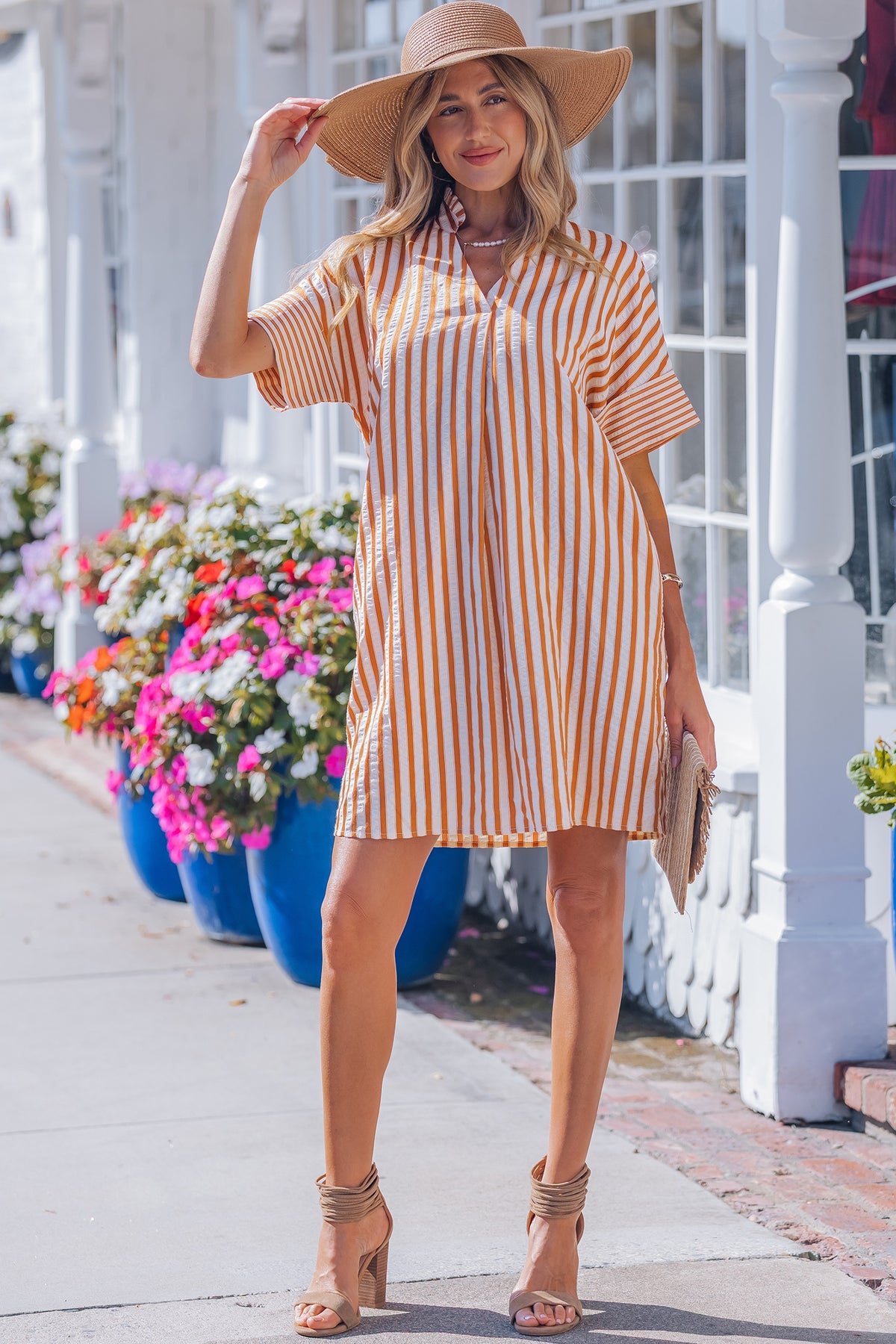 Stripe Pinched V-neck Mini Dress