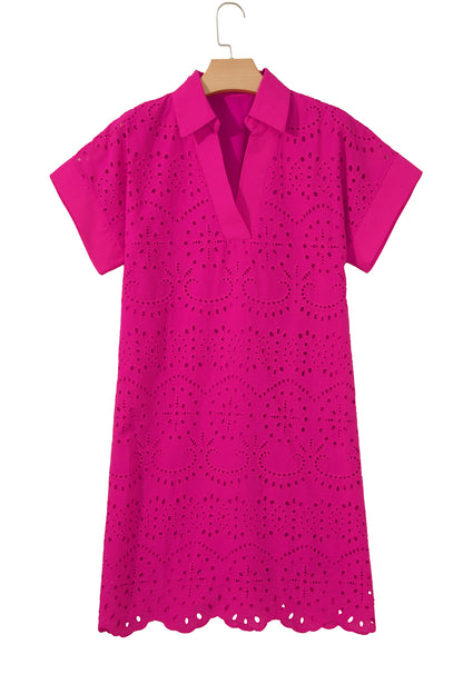 Color Eyelet Embroidered Mini Dress